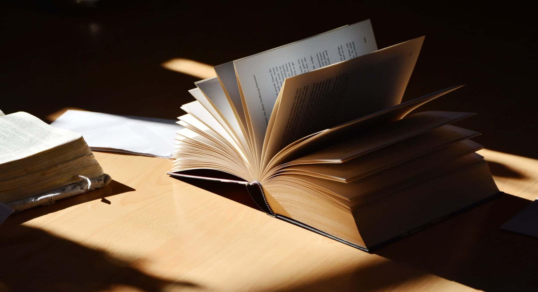  RavenCore  : Lart de transformer ses pensées en livres